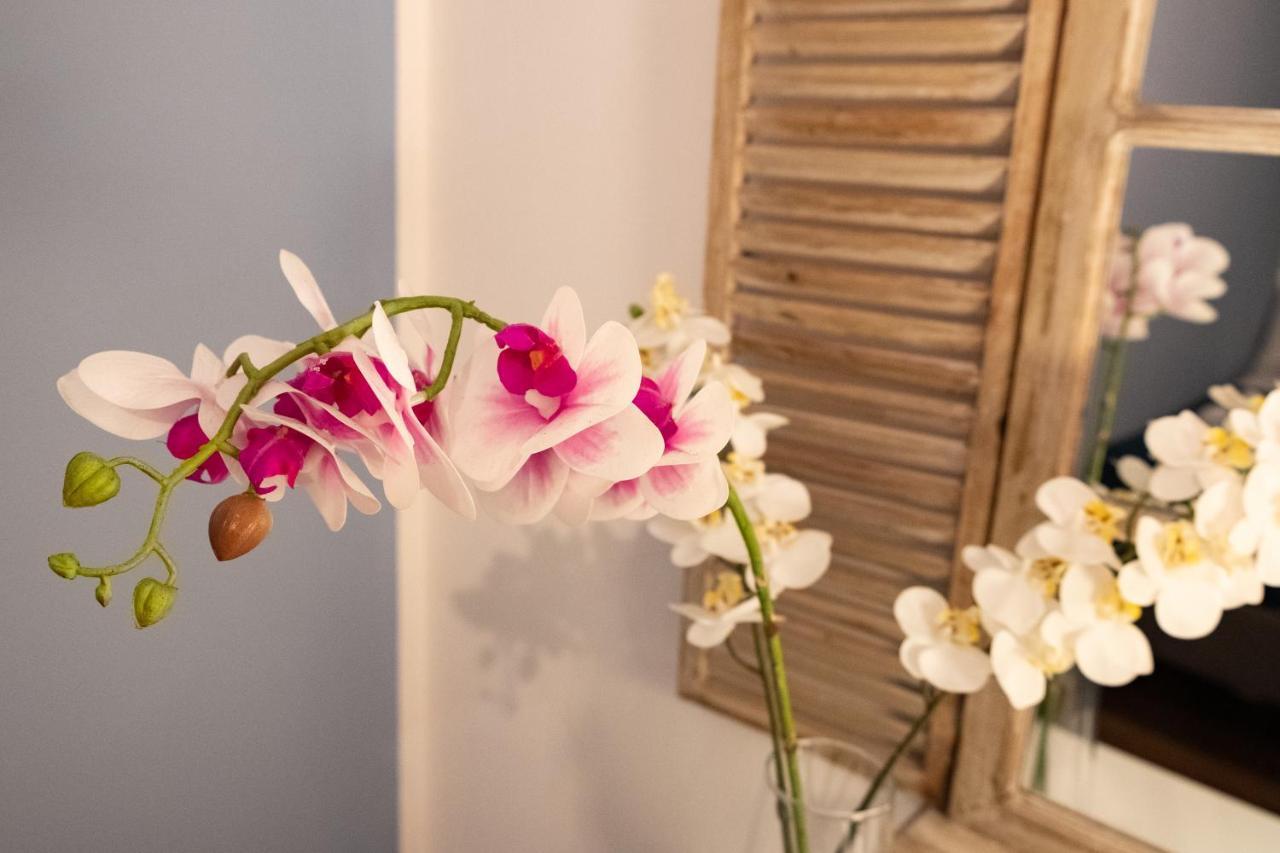 Casa Ballaro パレルモ エクステリア 写真